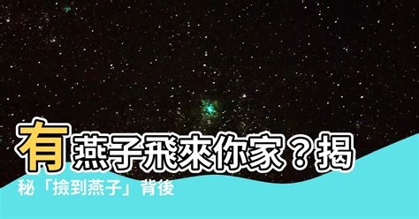 撿到燕子代表什麼|【撿到燕子代表什麼】有燕子飛來你家？揭秘「撿到燕子」背後的。